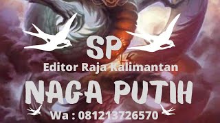 Download lagu SP. NAGA PUTIH DAN INAP NAGA PUTIIH TARIK MAGRIP.NYA TIDAK.DI RAGUKAN LGI BOSKU mp3 Download lagu SP. NAGA PUTIH DAN INAP NAGA PUTIIH TARIK MAGRIP.NYA TIDAK.DI RAGUKAN LGI BOSKU mp3