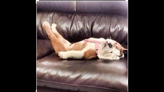 обжорчик 07.03.2020