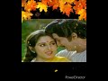 Pacha Pachani Pandirantha Taambulam Vesinattu Akasamenduko Pachapachani Shobanbabu Jayaprada