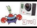 CRAB STEALS GO PRO CRAB STEALS GO PRO