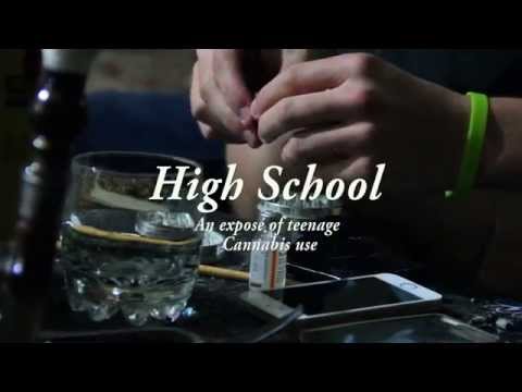 High School: An Exposé of Teenage Cannabis Use