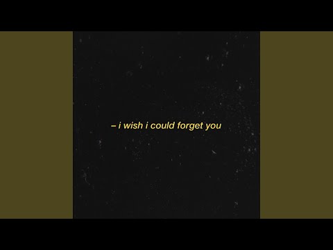 i wish i could forget you