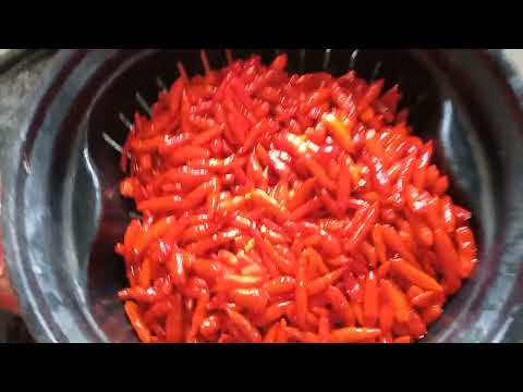 COMO FAZER CONSERVA DE PIMENTA MALAGUETA NO VINAGRE DE ALCOOL - PIMENTA MALAGUETA EM CONSERVA