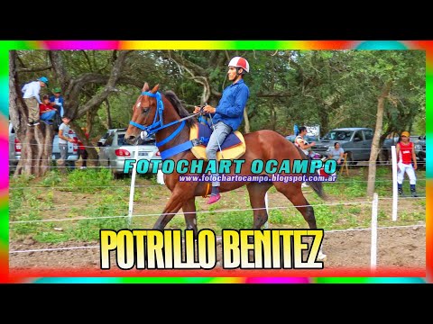 POTRILLO BENITEZ - Santa Sylvina - Chaco 31/03/2024
