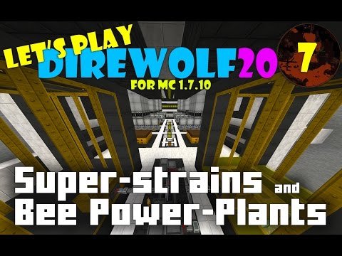Let's Play FTB Direwolf20 - EP07: Super-strains & Bee Power