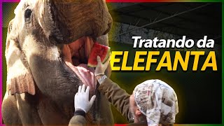 Miniatura do vídeo