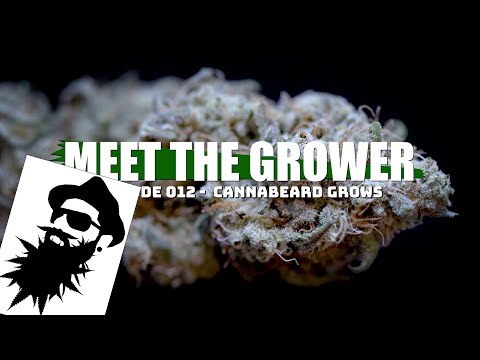 Meet the Grower Ep. 012 - CannaBeard Grows