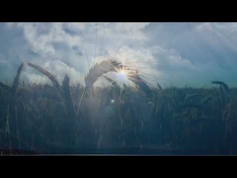 Sorin si Daniela Piu - CU UN SINGUR CUVANT