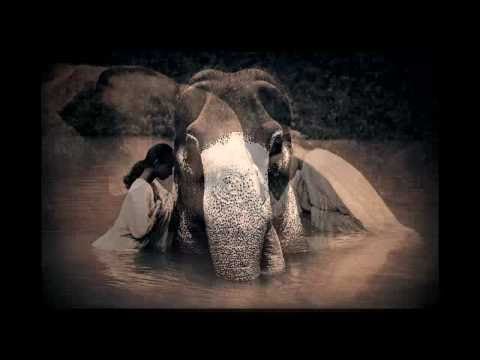 Chillout Therapy 2 : OCEANLAB aka ABOVE & BEYOND