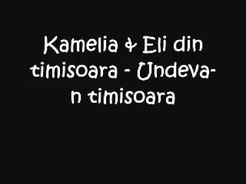 Kamelia feat Mark Eli -  Undeva In Timisoara.avi