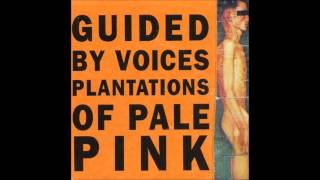 Guided By Voices - Catfood On The Earwig