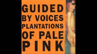Guided By Voices - Catfood On The Earwig
