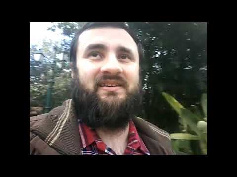 ЭКСПРЕСС КОЭФ. 7,3/Прогнозы на НХЛ и на НБА