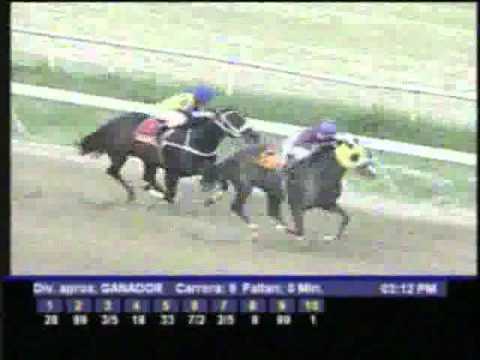 Resumen Sabado, 10 de Diciembre de 2011 - La Rinconada