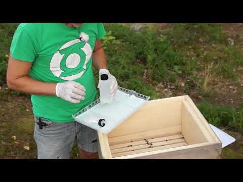 Varroabekämpning med Nassenheider Professional - Varroan springer snabbt iväg