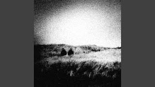 The Lines (Tapes)