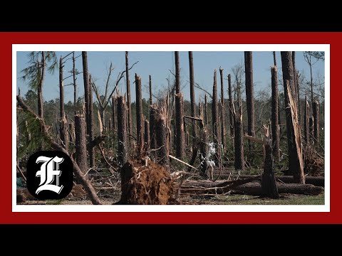 At least 32 dead in massive storm after new fatalities reported in Kansas and Mississippi