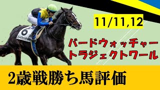 【11月2週目勝ち上がり2歳馬評価】アパパネの息子バードウォッチャーが新馬勝ち！