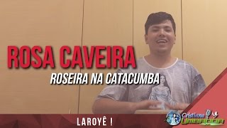 Rosa Caveira - Roseira na Catacumba