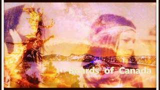 Boards of Canada    Palace Posy