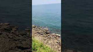 PATAPAT BRIDGE @everyone