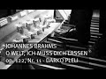 J. Brahms: O Welt, ich muss dich lassen, op. 122, Nr. 11, Darko Pleli - Orgel