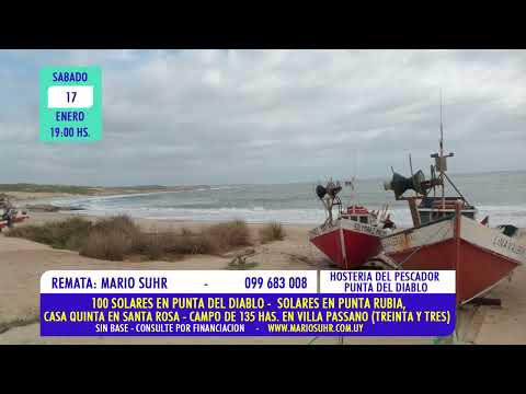 MARIO SUHR remata solares en Punta del Diablo, Chacra en Santa Rosa, Campo en Treinta y tres 17/1/26