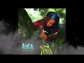 Nonso Amadi - Aika (Lyric Video)
