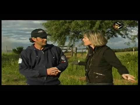 soriano y cerro de Darwin