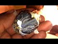 M4 Tech Bird Egg From Rain Water