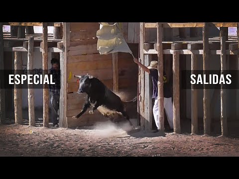 Toros Bravos Especial Salidas