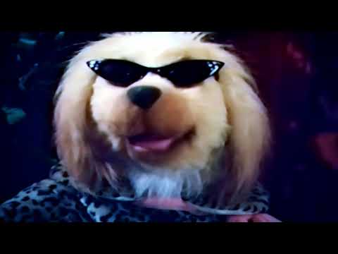 Toby terrier and Afghanna music vid: corso and the girl (The ninth gate)