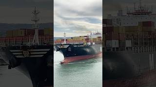 Small tug boat can Pull this massive countainer ship #seaman #comment #cruise #cruiseship #subscribe