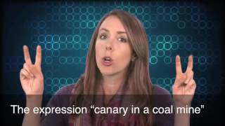 English in a Minute: Canary in a Coal Mine