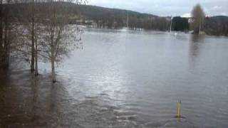 preview picture of video 'Hochwasser Pfreimd 15.01.2011'