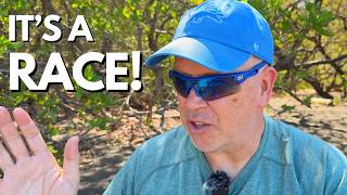 Your Channel Isn't Stuck — It’s in a Race!