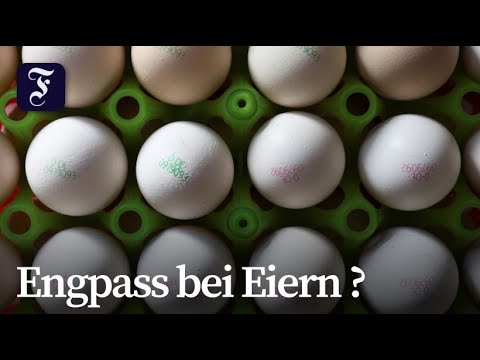 Vogelgrippe: Eierpreise könnten steigen