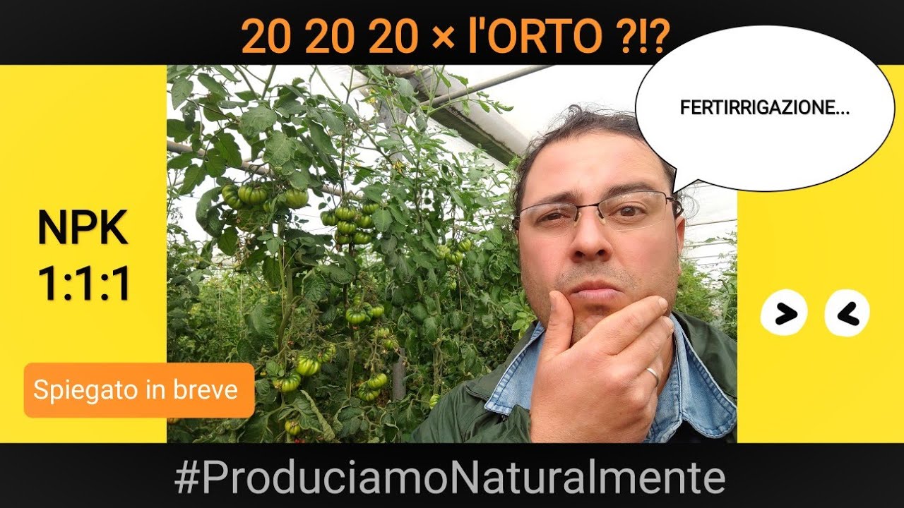 Orto | il concime NPK 20 20 20 è buono per tutte le coltivazioni