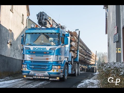 SCANIA R620 V8 ! HOLZTRANSPORT TOUMATRA