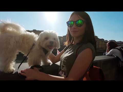 Terme di Saturnia/Firenze