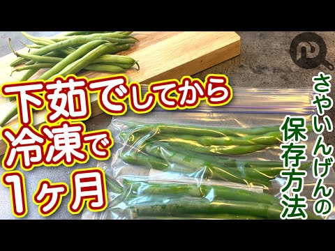 ランナーインゲン豆の冷凍: 収穫物を保存する方法 植物