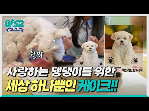 [생방송0!52] 우리 모두 함께하개, 사랑하개♥