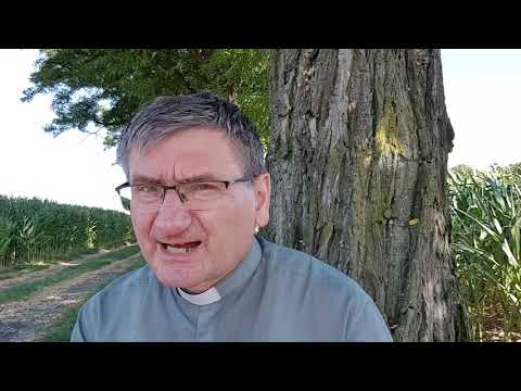 Trwaj i wytrwaj w wierze, w modlitwie. 20 Niedziela Zwykła.