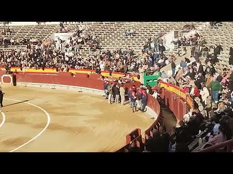 FERIA DE LA MAGDALENA 08-03-26. GINÉS MARÍN, AARÓN PALACIO Y JAVIER ZULUETA