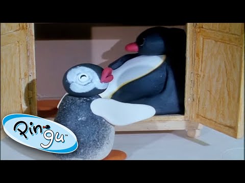 Pingu Plays Hide And Seek! | Pingu Official | 1 Hour | Cartoons for Kids - Kids (0-4), Kingdom Kids Zone - Pingu - Official Channel