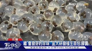 花蓮洪災將滿週年 2.3億噸土石仍殘留