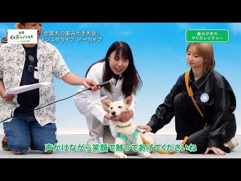 【犬の歯磨き方法】第３回全国犬の歯みがき大会/歯みがき習慣化プロジェクト/ライオンペット