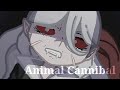 Animal Cannibal||ft.Bram stroker||Bsd||gacha
