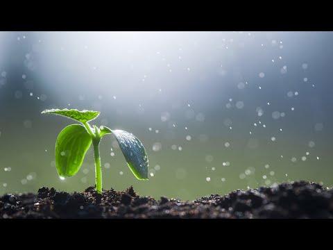 Breslov Basics 11 | Power in Beginnings