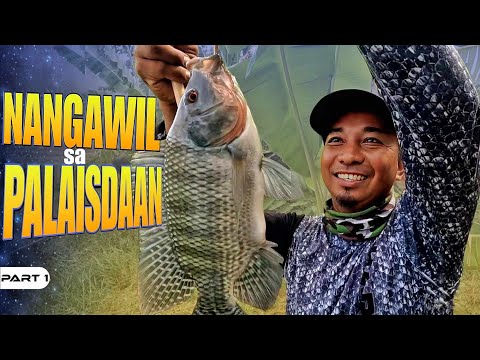 P1-NANGAWIL SA PALAISDAAN - EP1283